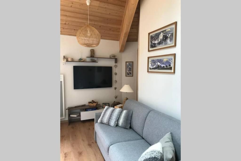 Apartment Magnifique A La Joue Du Loup