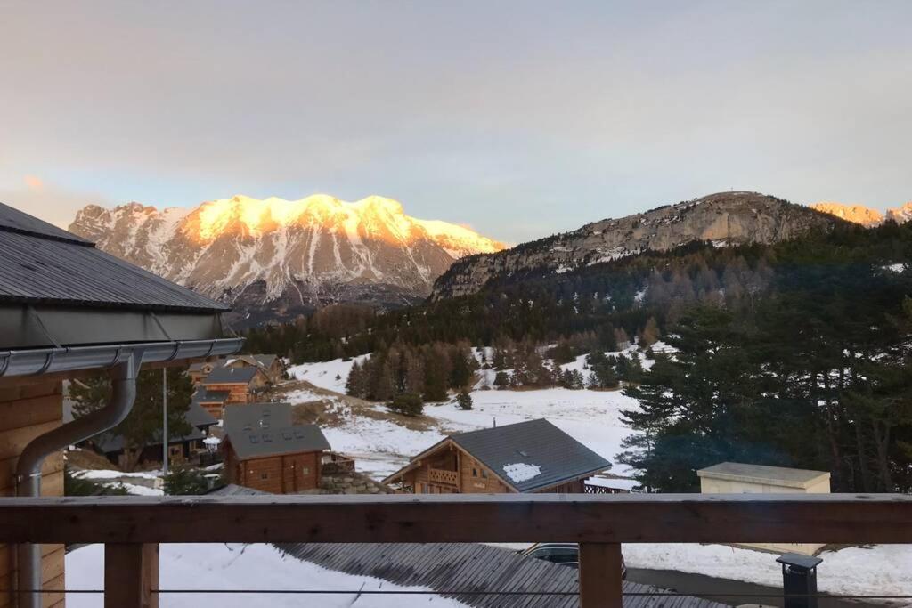 Magnifique A La Joue Du Loup